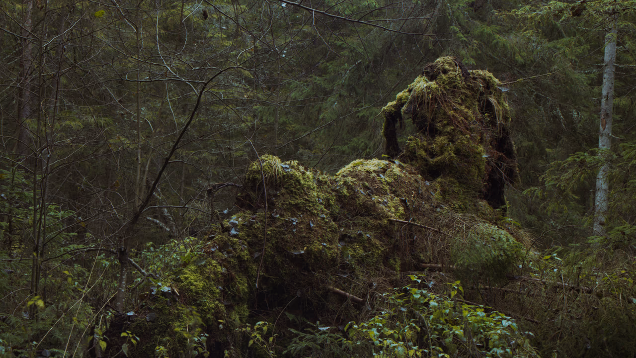 Puszcza Knyszyńska - Bagna