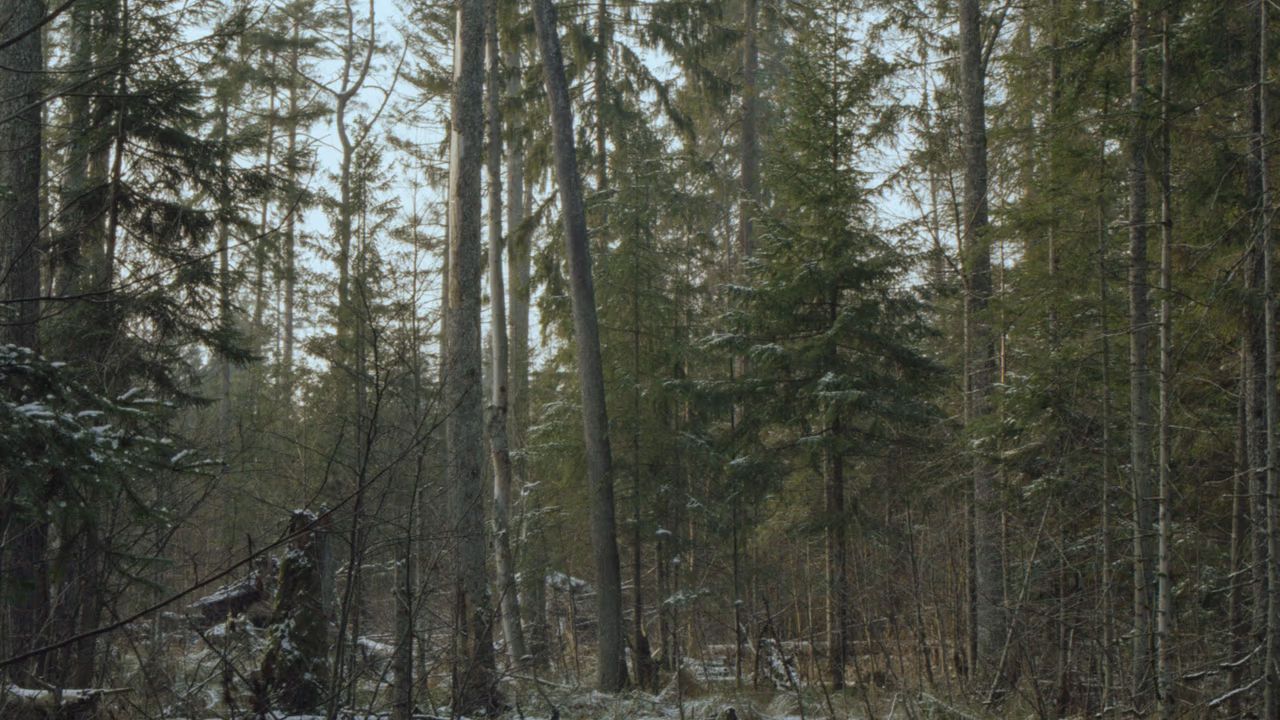 Rezerwat Bartoszycha